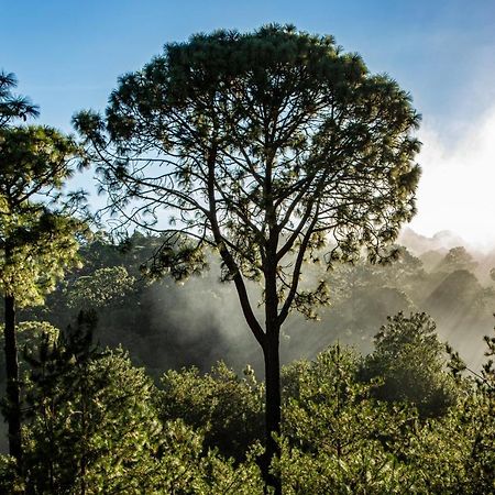 Bosque Escondido Hotel Mazamitla Kültér fotó