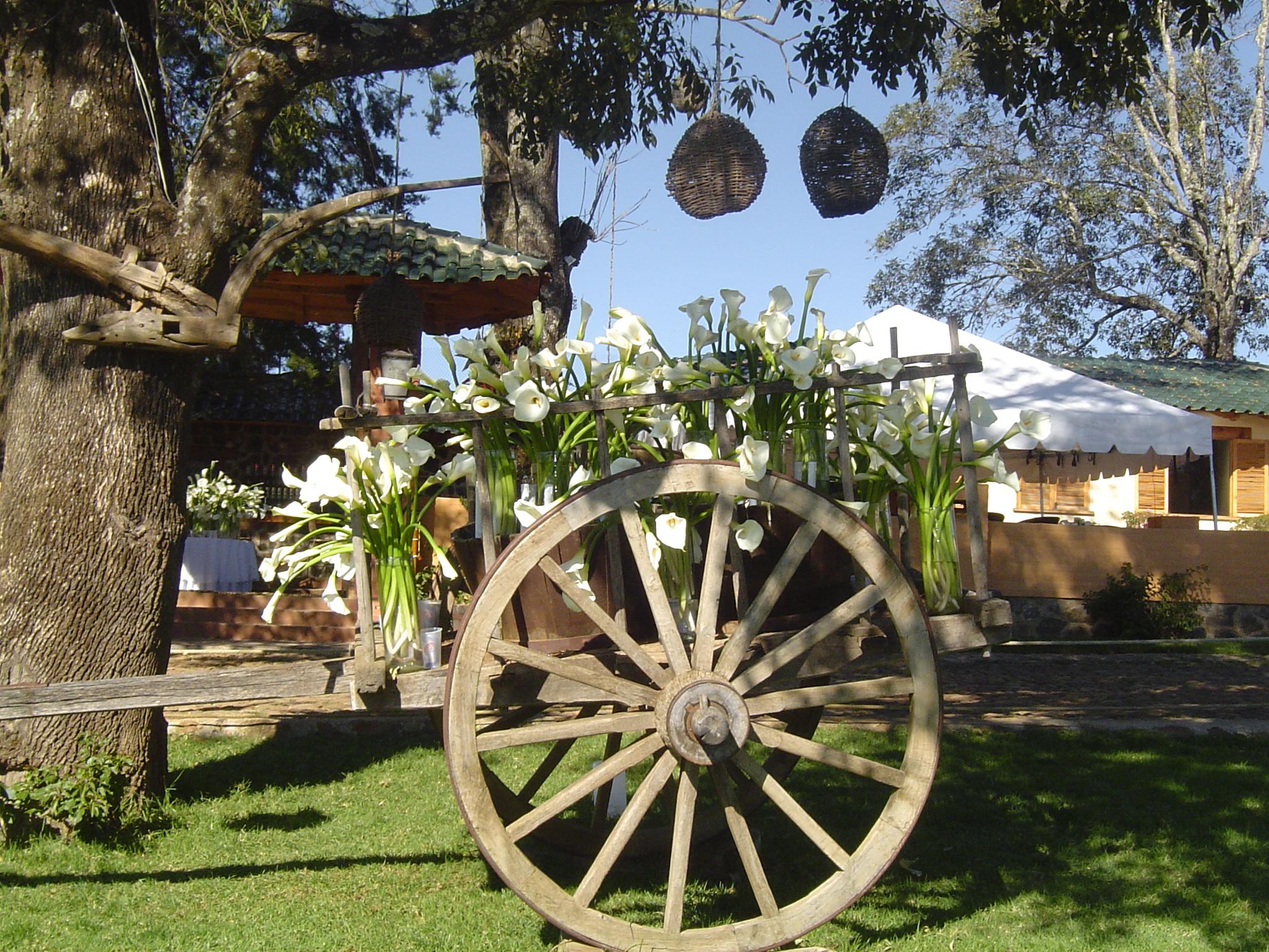 Bosque Escondido Hotel Mazamitla Kültér fotó