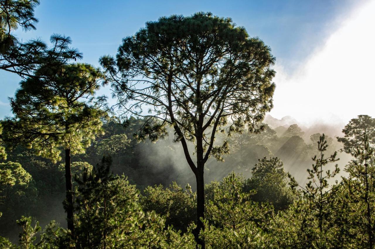 Bosque Escondido Hotel Mazamitla Kültér fotó