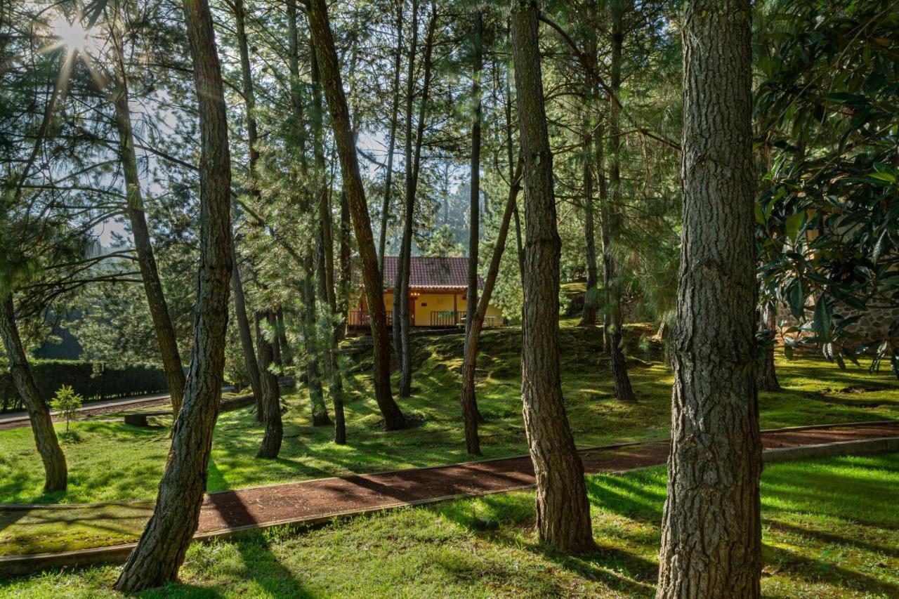 Bosque Escondido Hotel Mazamitla Kültér fotó